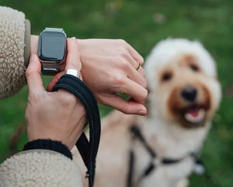 The Honest Scoop Regarding Fitness Trackers? Daily Existence Improves Devoid of a Nagging Zealot on Your Arm
